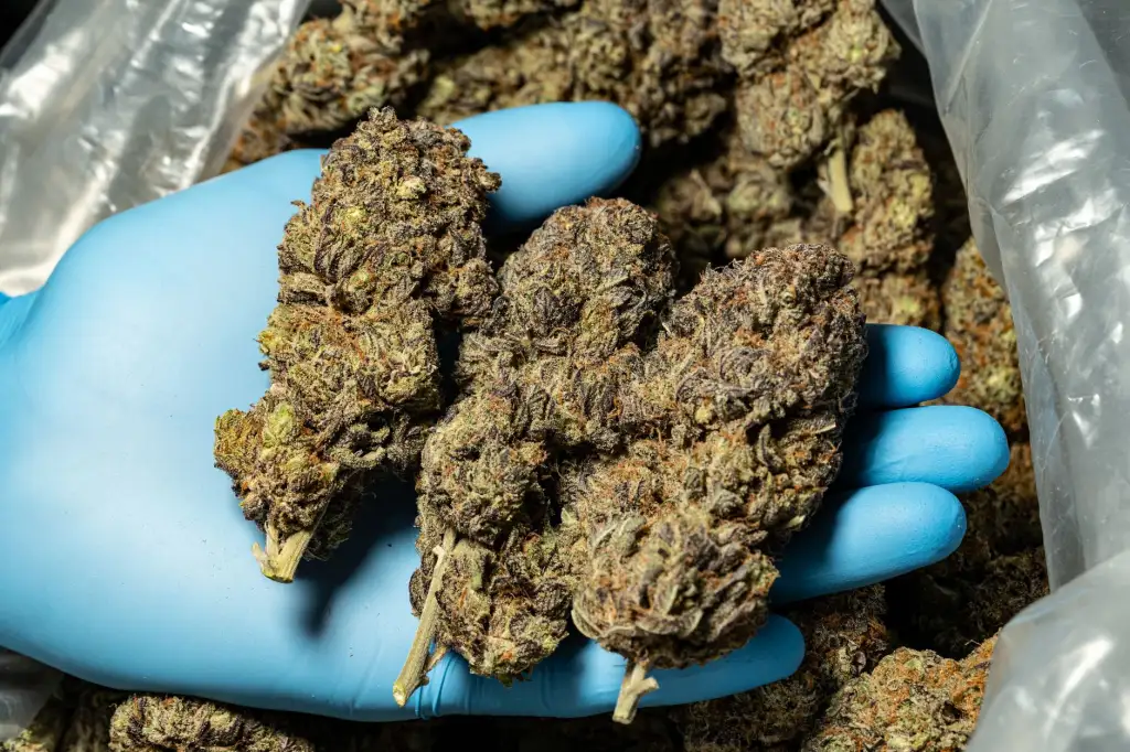安防监控系统中红外报警与门磁的联动机制技术解析